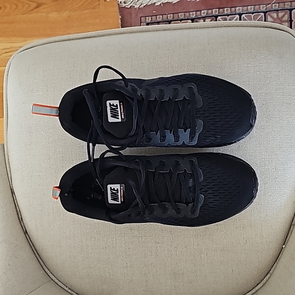 Nike shield pegasus 34